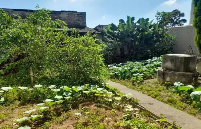 Terreno com imóvel antigo no baeta neves, são bernardo do campo