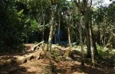 Área à venda, 3000 m² por r$ 950.000 - siriúba - ilhabela/sp