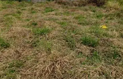 Terreno residencial para venda em campinas, loteamento residencial flavia