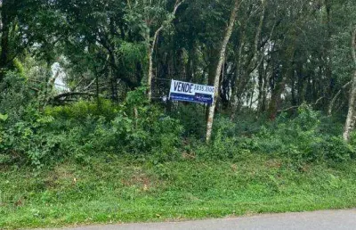 Terreno à venda, 824 m² por r$ 825.000,00 - aristocrata - são josé dos pinhais/pr