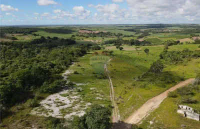 Para o seu agronegócio uma oportunidade de ouro: excelente terreno rural com 9 hectares, em alhandra!