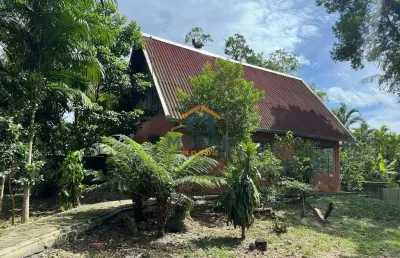 Chácara / sítio com 2 quartos à venda no Guaraguaçu, Pontal do Paraná 