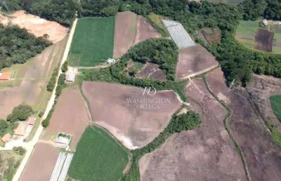 Área à venda, 107690 m² por r$ 4.307.600,00 - roseira - são josé dos pinhais/pr