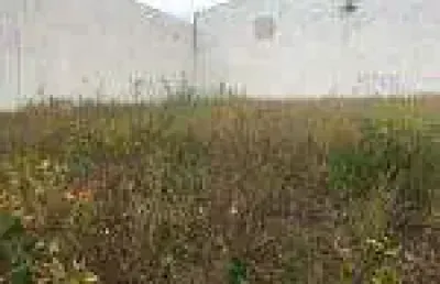 Terreno comercial para alugar na Rua Augusto Guerino, s/nº, Portal de Versalhes 1, Londrina