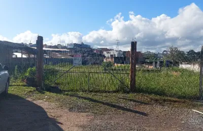 Terreno comercial à venda na Alameda Nossa Senhora do Sagrado Coração, 681, Pinheirinho, Curitiba