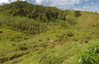 Fazenda à venda com 43 alqueires, iguape - guarapari es