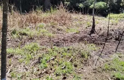 Chácara / sítio à venda na Área Rural, Área Rural de Capão Bonito, Capão Bonito