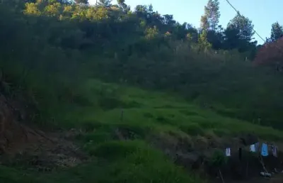 Sítio em guapiara, 8 alqueires, casa, bom de água, topografia levemente caído.