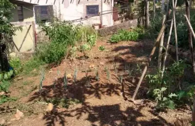 Chácara / sítio com 3 quartos à venda no Centro, Guapiara 
