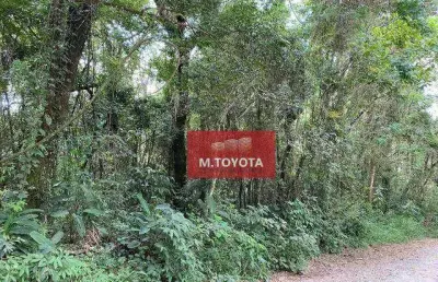 Terreno à venda, 1025 m² por r$ 150.000,00 - mato dentro - mairiporã/sp