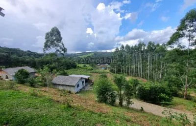 Chácara / sítio com 2 quartos à venda na alexandre maschio, 1080, mandaçaia, campina grande do sul, 108 m2 por r$ 270.000
