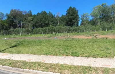 Terreno à venda na benedito simioni, 176, jardim araçatuba, campina grande do sul por r$ 250.000
