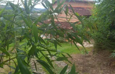 Oportunidade única em itabirito - mg | tipo: casa | negociação: licitação aberta  | situação: imóvel