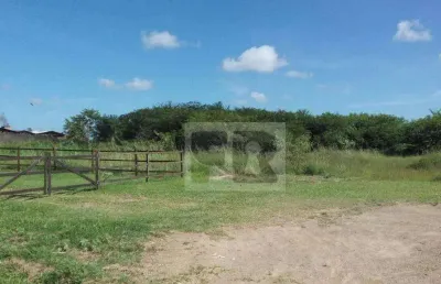 Terreno à venda na Rua Mariz e Barros, Americana, Alvorada