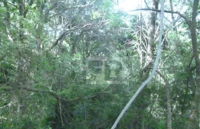 2 terrenos  chácaras á venda juntos ou individualmente no bairro formosa em alvorada rs.