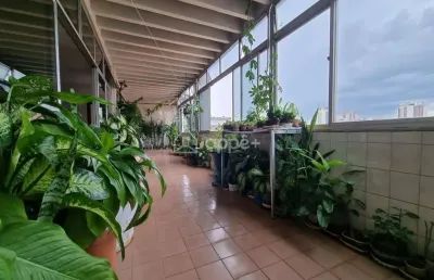 Cobertura linear 5 quartos 1 suíte 3 vagas - bairro funcionários