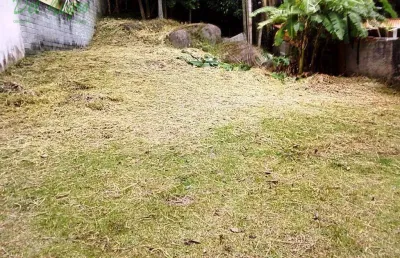Terreno residencial à venda, 520 m² - parque são paulo, cotia.