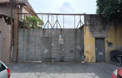 Terreno comercial para alugar no Parque Novo Mundo, São Paulo 