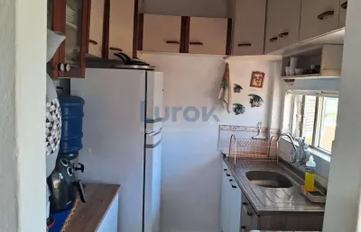 Apartamento à venda, vila padre manoel de nóbrega, campinas, sp