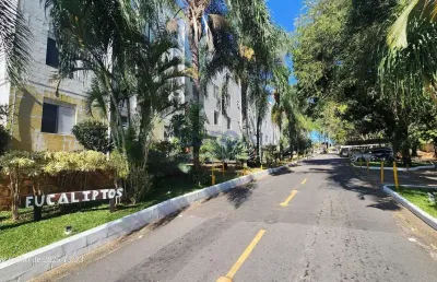 Apartamento pq. dos eucaliptos venda , vila padre manoel de nóbrega, campinas, sp