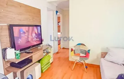 Apto à venda condomínio residencial vale das figueiras - valinhos / sp