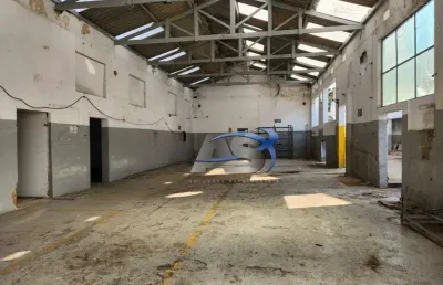 Alugo galpão no butantã 1.561m², duas grandes área cobertas com pé direito de 5 metros,