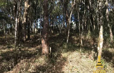Terreno à venda, 1375 m² por r$ 220.000,00 - pirucaia - mairiporã/sp
