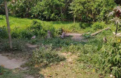 Terreno à venda na Rua Periquito, Jardim Nova Cotia, Itapevi