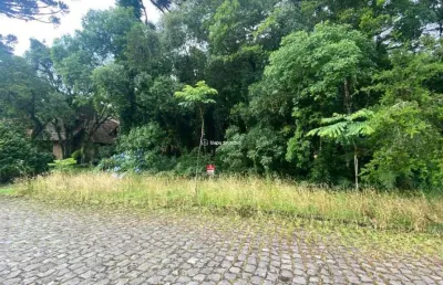 Terreno à venda na carlos felipe spindler, bosque sinoserra, canela por r$ 768.500