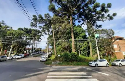 Terreno à venda na coronel diniz, 100, centro, canela por r$ 3.000.000