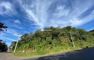 Terreno à venda na estrada do caracol rs 466, suzana, canela por r$ 7.500.000