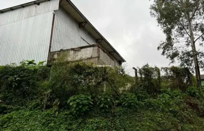 Barracão / galpão / depósito à venda na angelo tissot, 17, várzea grande, gramado por r$ 2.400.000
