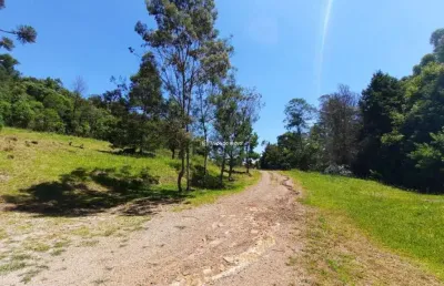 Terreno à venda na joão carlos camerini, 888, carazal, gramado por r$ 11.900.000