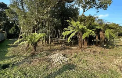 Terreno à venda na rua severino inocente zini, 2020202, jardim mariana, canela por r$ 775.000