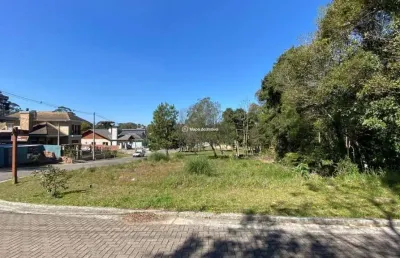 Terreno à venda na acer/ cerejeira, vivendas do arvoredo, gramado por r$ 850.000