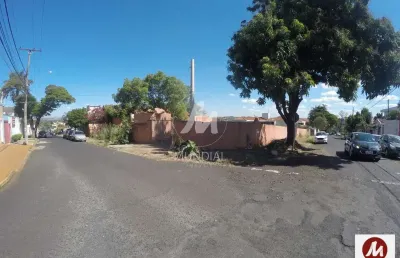 Casa comercial à venda na Rua Conde Afonso Celso 1000 (58817mv), Jardim Sumaré, Ribeirão Preto