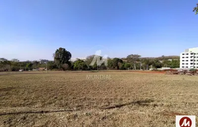 Casa comercial à venda na Rua Iria Alves 0 (68818mv), Santa Martha, Ribeirão Preto