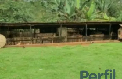 Chácara / sítio com 4 quartos à venda no ipelândia, suzano  por r$ 900.000