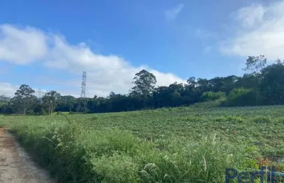 Chácara / sítio à venda na vila aparecida, suzano  por r$ 11.649.180