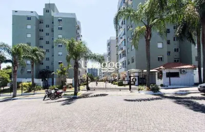 Apartamento para venda - 62m², 3 dormitórios, 1 vaga - nonoai