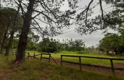 Sítio para venda - 120217m², 0 dormitórios, campo novo