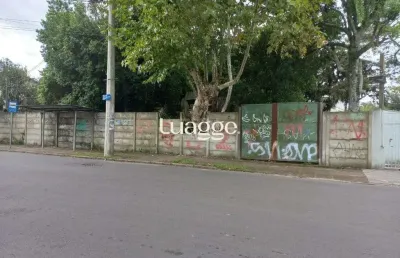 Terreno para venda - 2167m², 0 dormitórios, ipanema