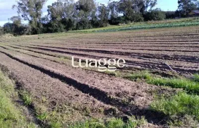 Chácara / sítio à venda na Avenida do Lami, 2752, Lageado, Porto Alegre