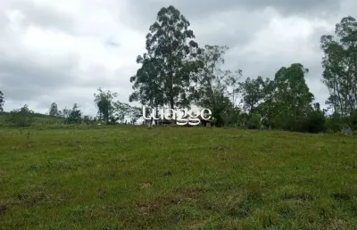 Chácara / sítio com 3 quartos à venda na Estrada Passo Do Custódio, 14552, Flórida, Guaíba