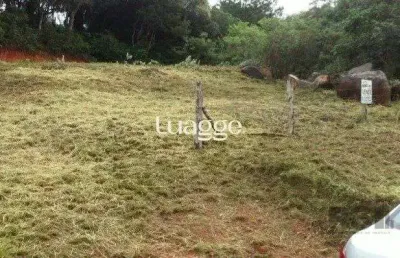 Terreno à venda na Estrada Jacques da Rosa, 964, Lageado, Porto Alegre