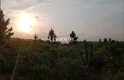 Chácara / sítio à venda na Estrada Rs 784, 84, Zona Rural, Cidreira