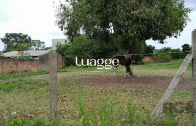 Terreno à venda na Rua Oito Mil e Dezessete, 74, Lageado, Porto Alegre