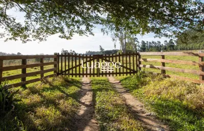 Chácara / sítio com 3 quartos à venda na Beco Da Cegonha, 2100, Estância Grande, Viamão