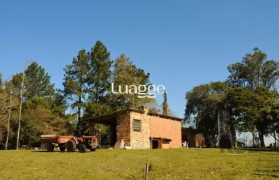 Chácara / sítio com 3 quartos à venda na Estrada da Estancia Grande, 573, Estância Grande, Viamão
