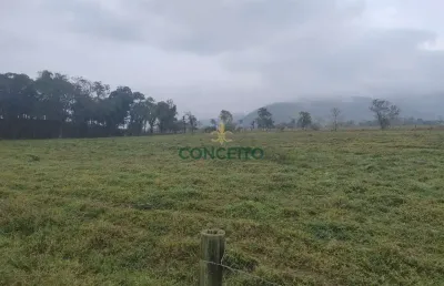 Terreno à venda – 4 hectares com infraestrutura pronta | r$ 5.000.000
